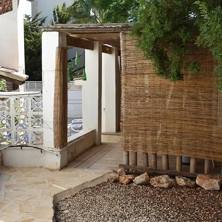 Le Papillon Calpe